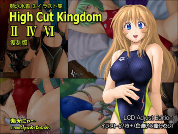 HIGH CUT KINGDOM 2+4+6 Competition type Swimsuit Illustration cover