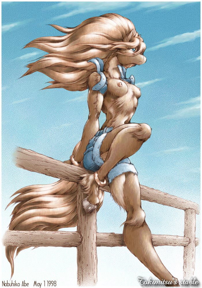 My gallery horses page 1 full