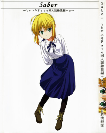 Saber ~Hiroyuki Fate Doujinshi Soushuuhen + α~ cover