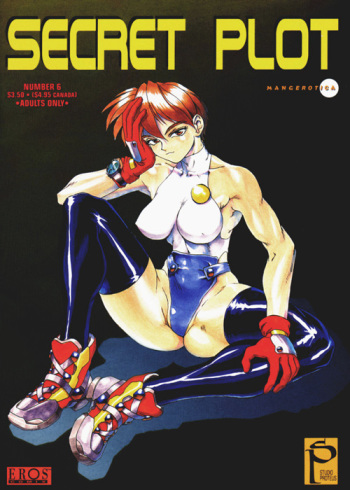 Secret Plot 6 cover