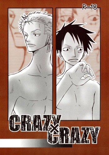 CRAZY X CRAZY cover