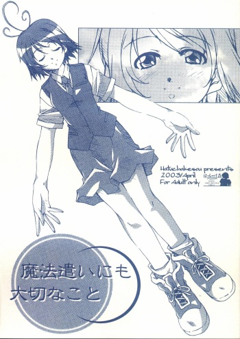 Mahoutsukai ni mo Taisetsu na Koto cover
