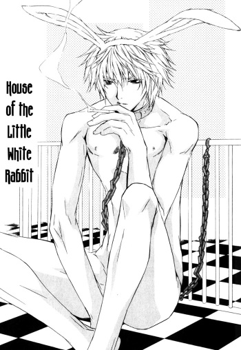 The Rabbit in the House cover