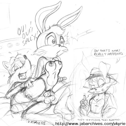 Large Sonic Collection- Bunnie "Rabbot" D'Coolette page 2 full