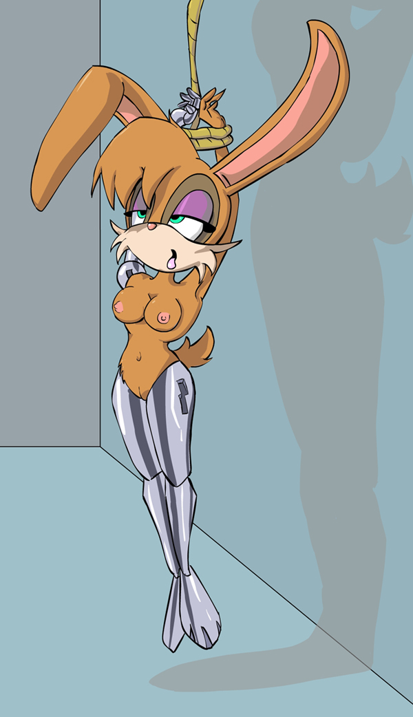 Large Sonic Collection- Bunnie "Rabbot" D'Coolette page 4 full