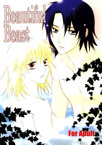 Beautiful Beast cover