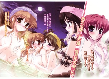 Various Ecchi Images 12 cover