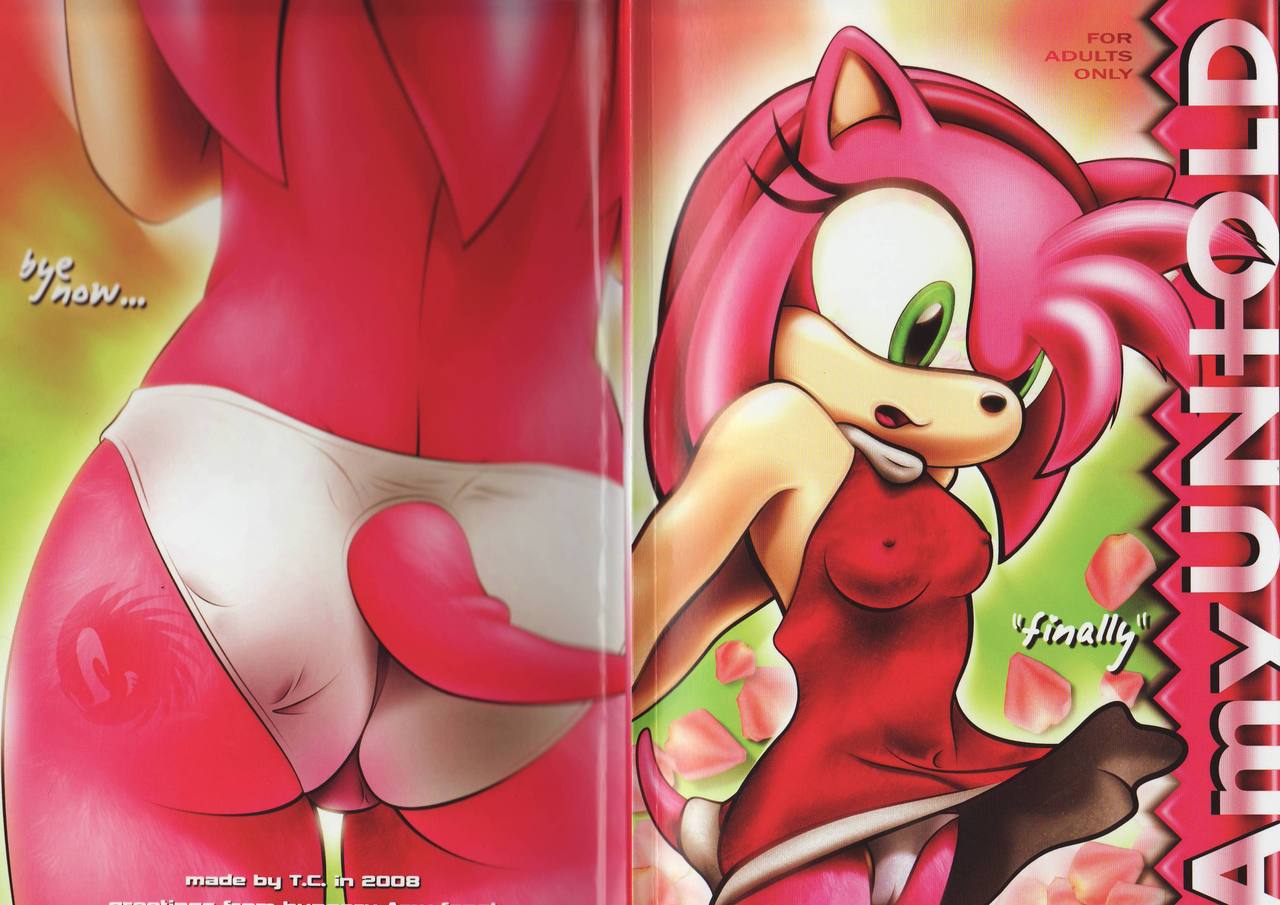 The girls from Sonic The Hedgehog page 5 full