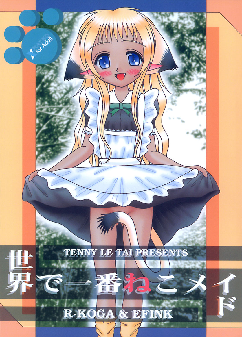 Sekai de Ichiban Neko Maid page 1 full