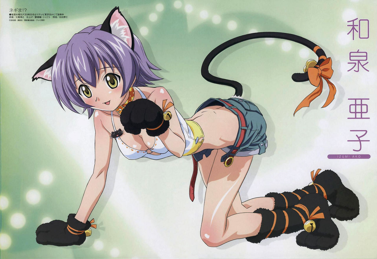Negima Posters page 5 full