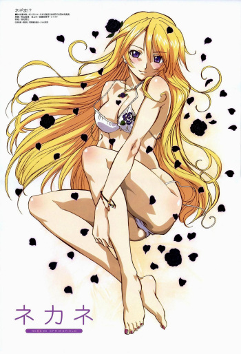 Negima Posters cover