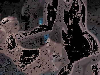 Bible Black Restored GIFS cover