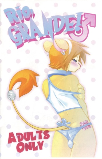 Rio Grande! cover