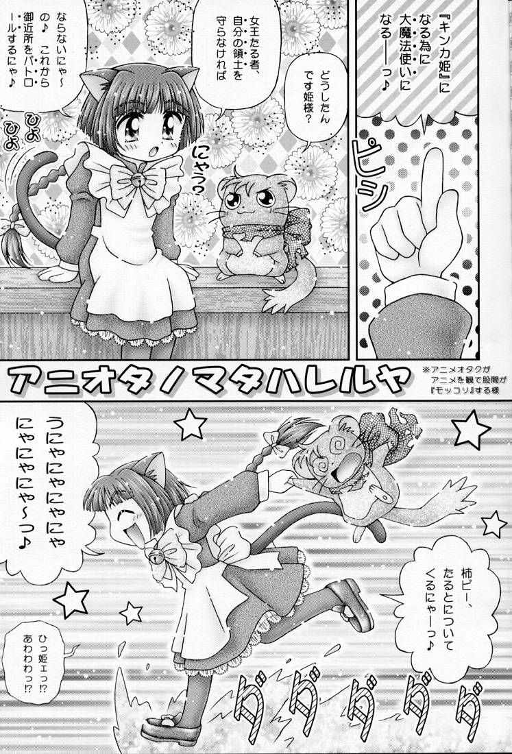 Maicchingu Nyanko Sensei page 4 full