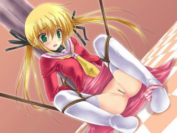 Random Hentai Pics of the web cover