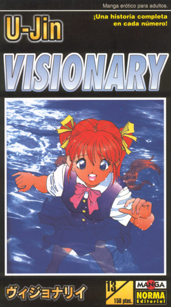 Visionary 13 cover