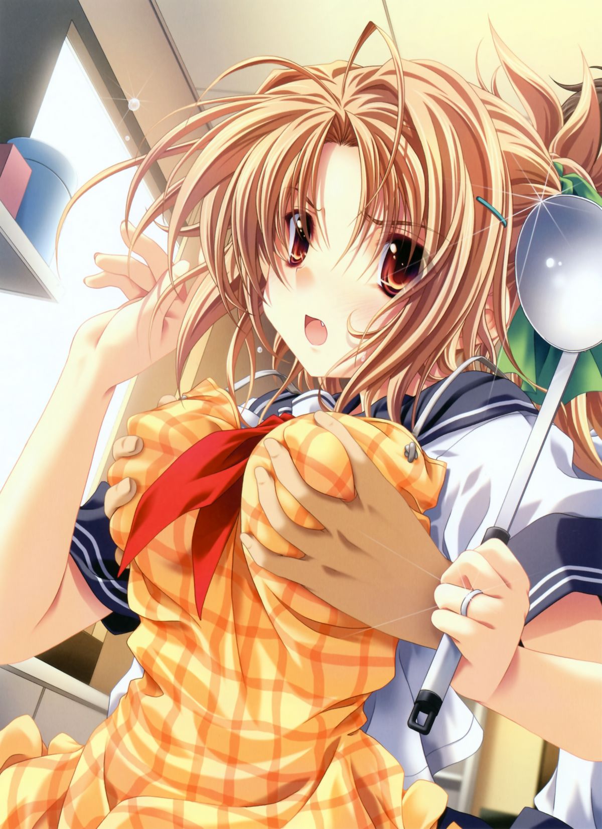 MOEOH Selection Custom Maid Girl ~Miyama Zero Gashuu~ page 9 full