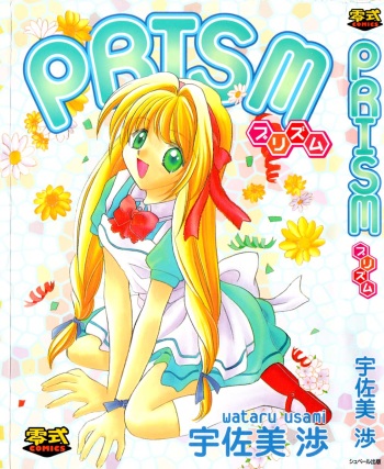 Prism cover