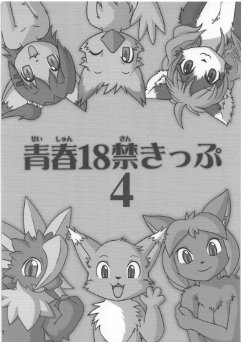 Seishun 18kin Kippu 4 cover