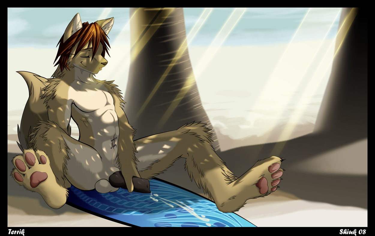 Yaoi Furry gallery 3, 115 images page 8 full