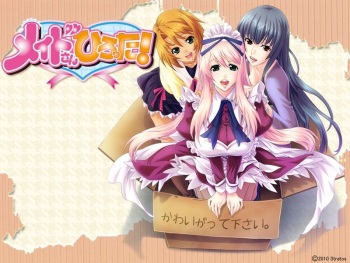 Maid-san Hirotta! cover