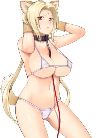 Assorted Ecchi Collection #033 cover