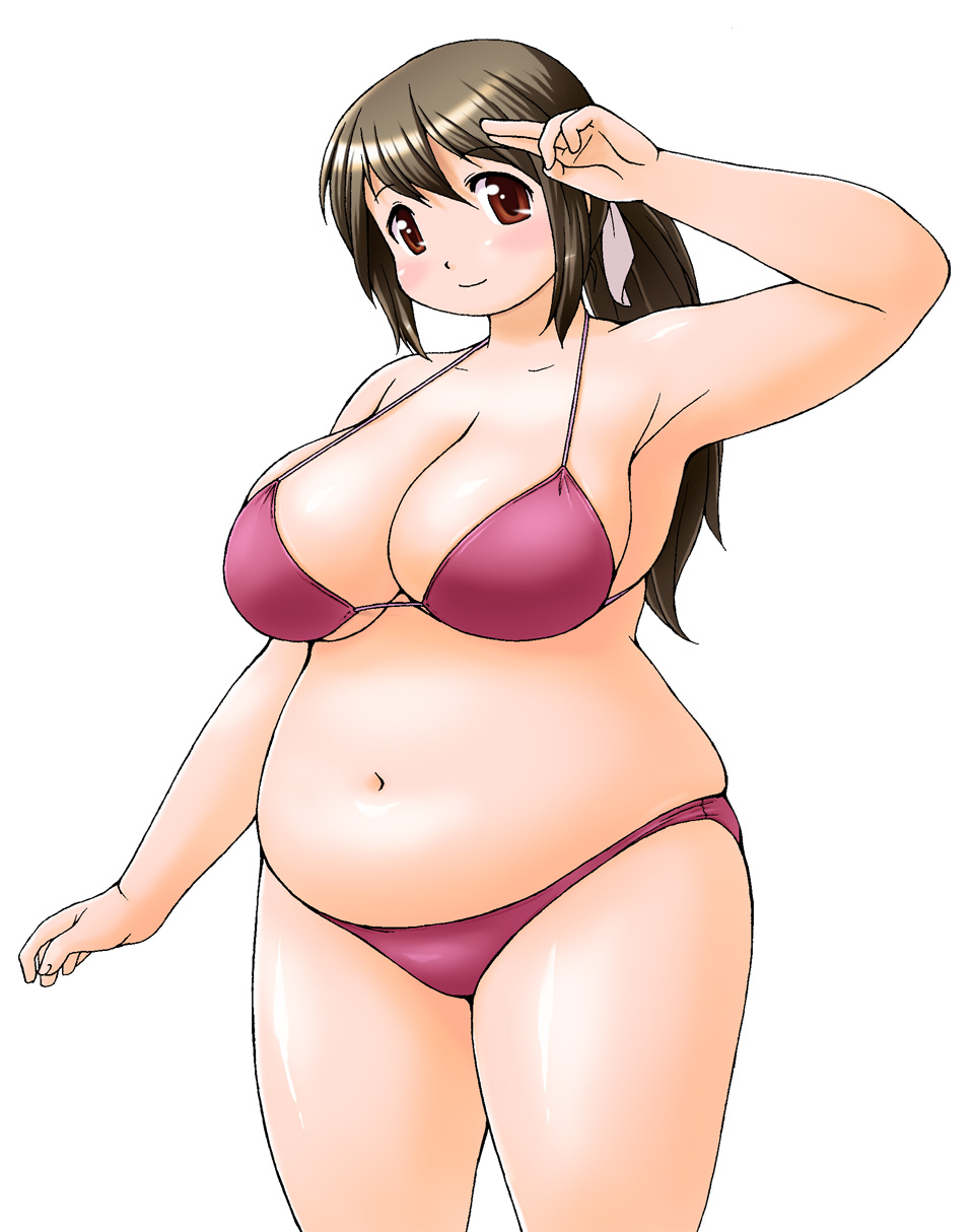 Kato Hayabusa Set page 2 full
