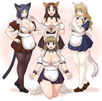 Kato Hayabusa Set cover