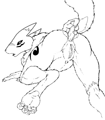 Digimon cover