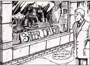 Sheer Delight cover