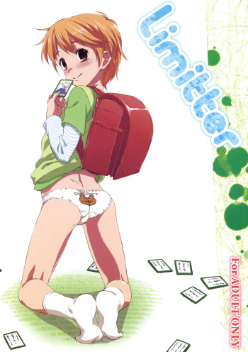Limitter cover