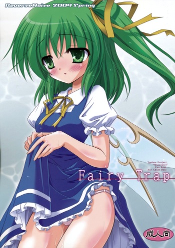 Fairy Trap cover