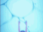 Underwater hentai-anime animated gifs part 5 page 4 full