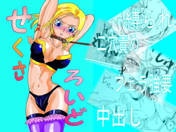 Sexaroid cover