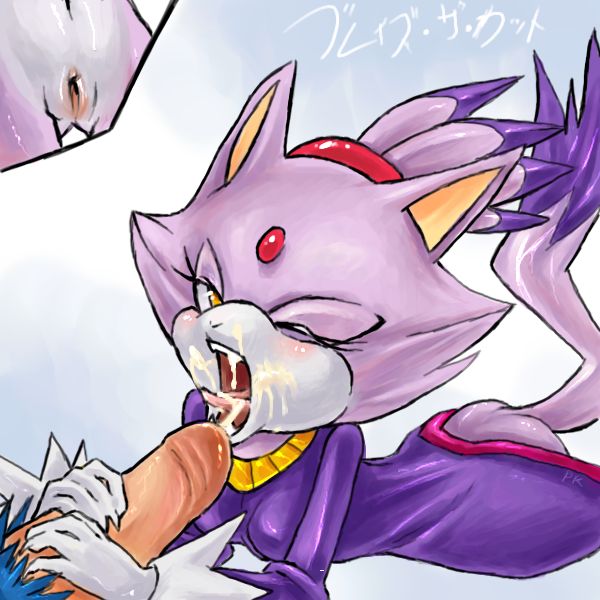 Large Sonic Collection- Blaze the Cat page 1 full