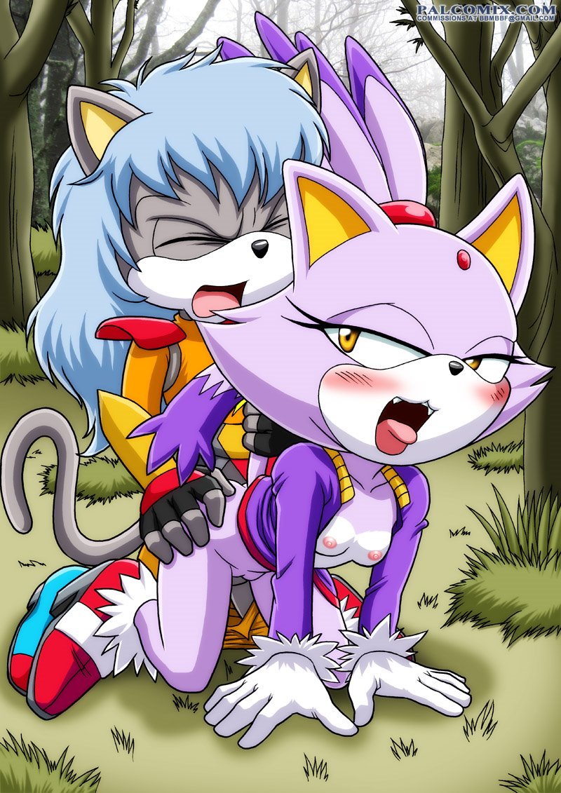 Large Sonic Collection- Blaze the Cat page 8 full