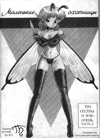 Bondage Fairies 2 cover
