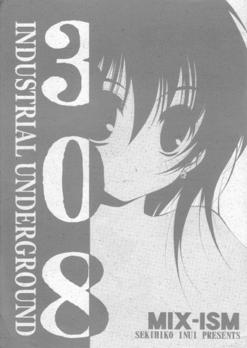 308 cover