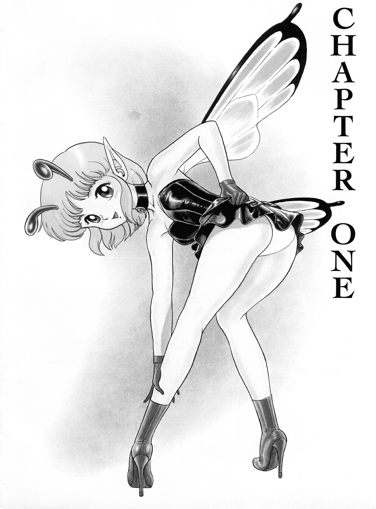 The Original Bondage Fairies. Book Two. page 5 full