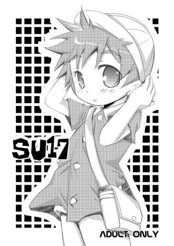 SU17 cover