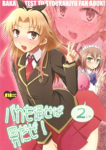 Baka mo Tooseba Otoko Daze! 2 cover