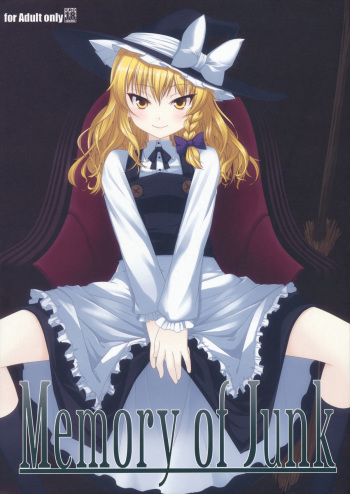 Memory of Junk cover