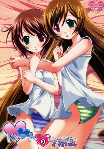 Heart no Tsubomi cover