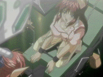 GIf Gallery 2 cover