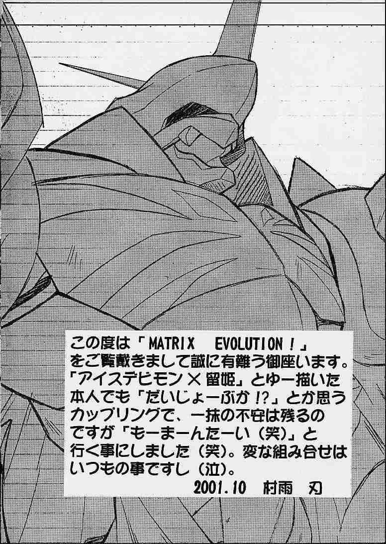 Matrix Evolution! page 2 full