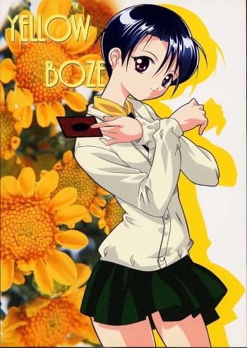 Yellow Boze cover