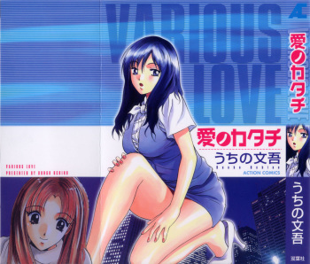 Ai no Katachi - Various Love cover