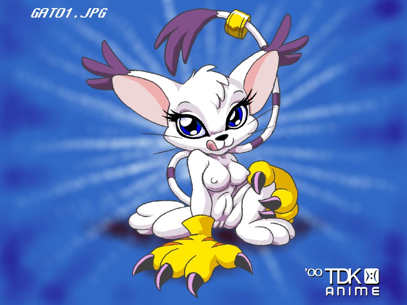 Best of gatomon page 1 full