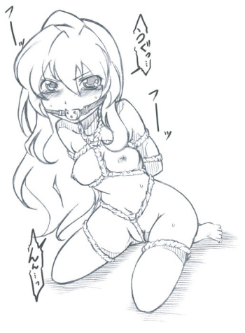 Toraijime cover