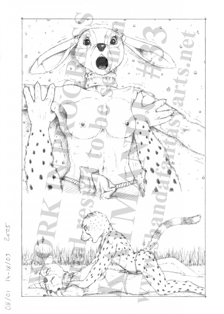 Predator &amp; Prey page 4 full